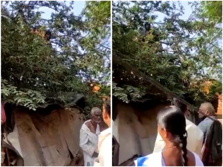 వీడెవడండీ బాబు! వ్యాక్సిన్ వేస్తామంటే.. చెట్టెక్కాడు