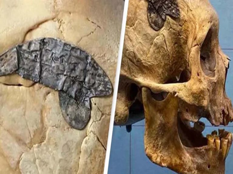 2వేల ఏళ్ల క్రిత‌మే అందుబాటులో అత్యాధునిక వైద్యం… ఇదే సాక్ష్యం…