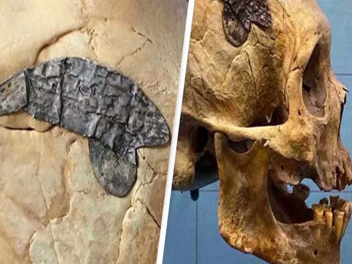 2వేల ఏళ్ల క్రిత‌మే అందుబాటులో అత్యాధునిక వైద్యం… ఇదే సాక్ష్యం…