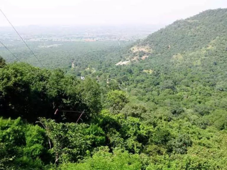 అడవుల్లో మంటలను అదుపు చేసేందుకు రంగంలోకి చెంచులు