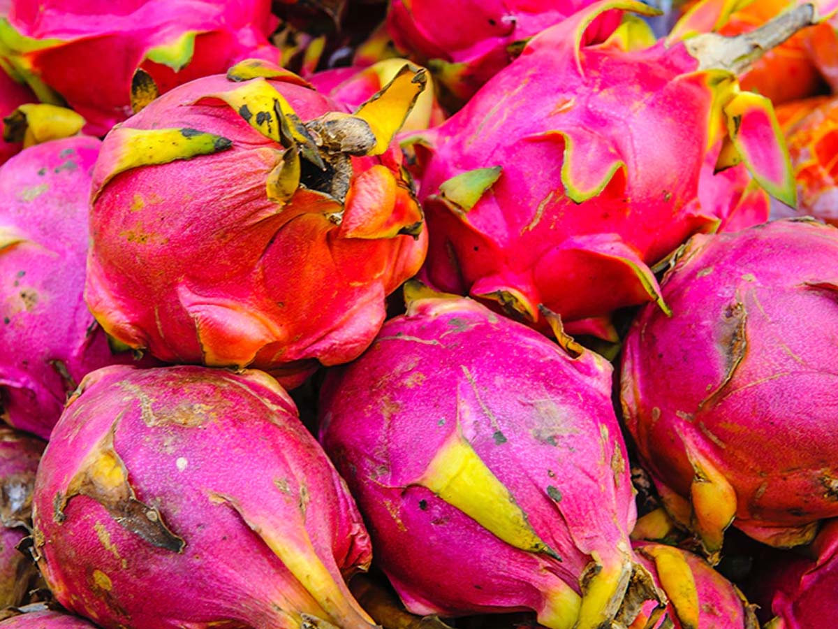 మ‌రోషాక్‌: డ్రాగ‌న్ ఫ్రూట్‌లో క‌రోనా వైర‌స్‌… సూప‌ర్ మార్కెట్లు బంద్‌…