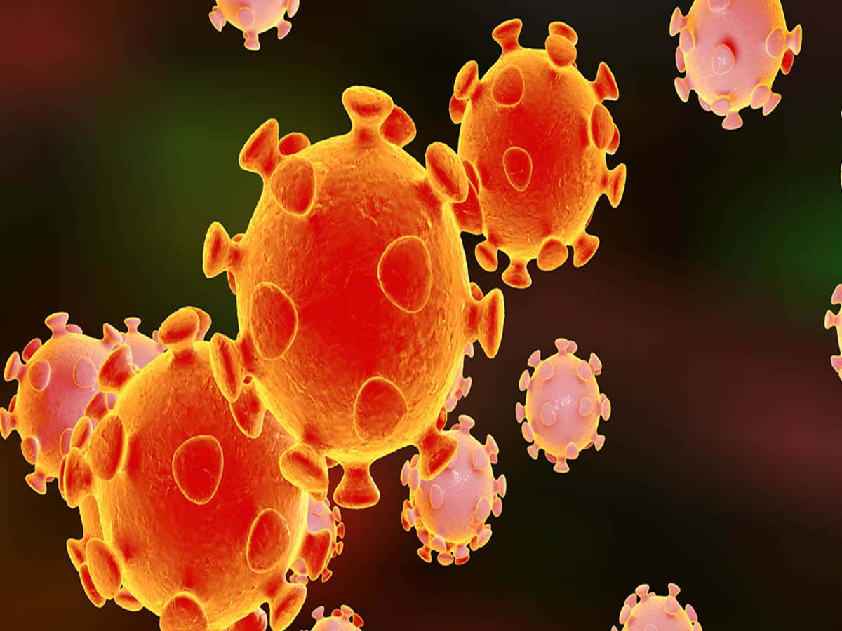 ముంబైలో భారీగా పెరిగిన కేసులు…