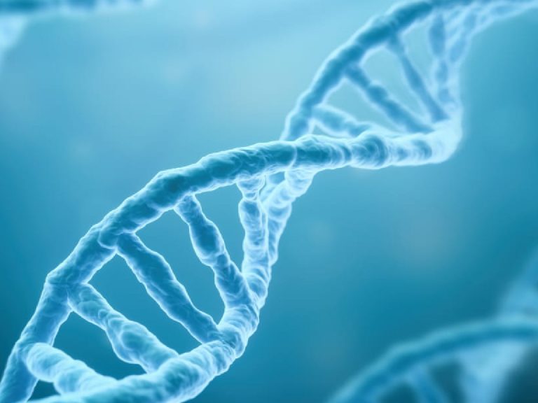 కొరియా వ్యాధి గురించి ఎప్పుడైనా విన్నారా?