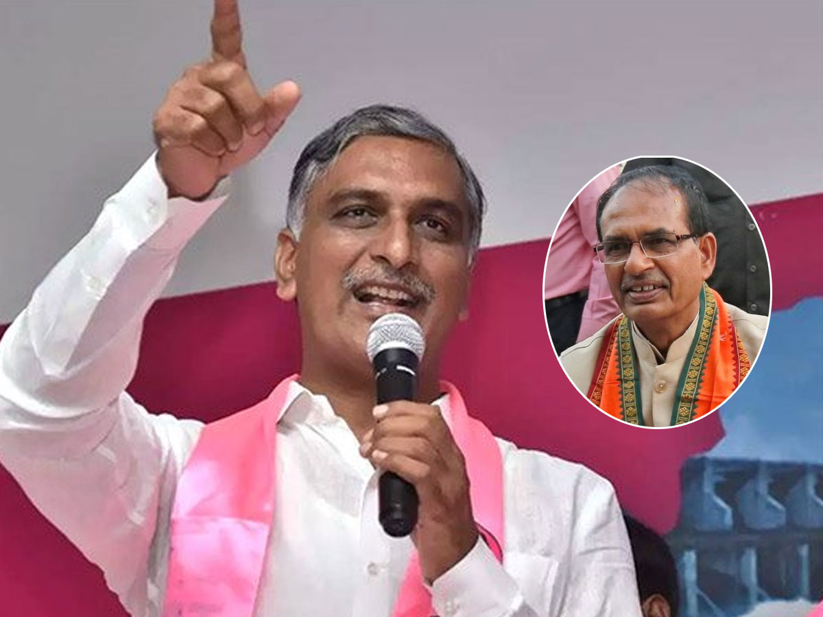 వంద ఎలుకలు తిన్న పిల్లి తాను శాఖాహారి అన్నట్టు..! హరీష్‌రావు కౌంటర్‌ ఎటాక్