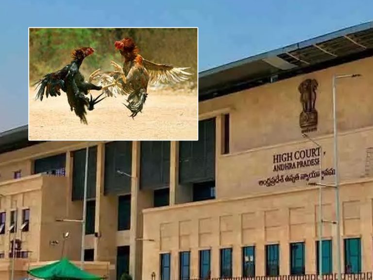 కోడి పందాలపై హైకోర్టులో పిటిషన్‌.. ఈసారి ఉంటాయా?