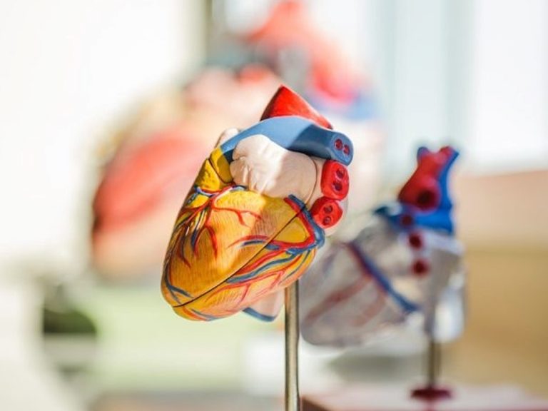 ఐఐటి కాన్పూర్ అద్భుతం:  కృత్రిమ గుండె త‌యారీకి శ్రీకారం…