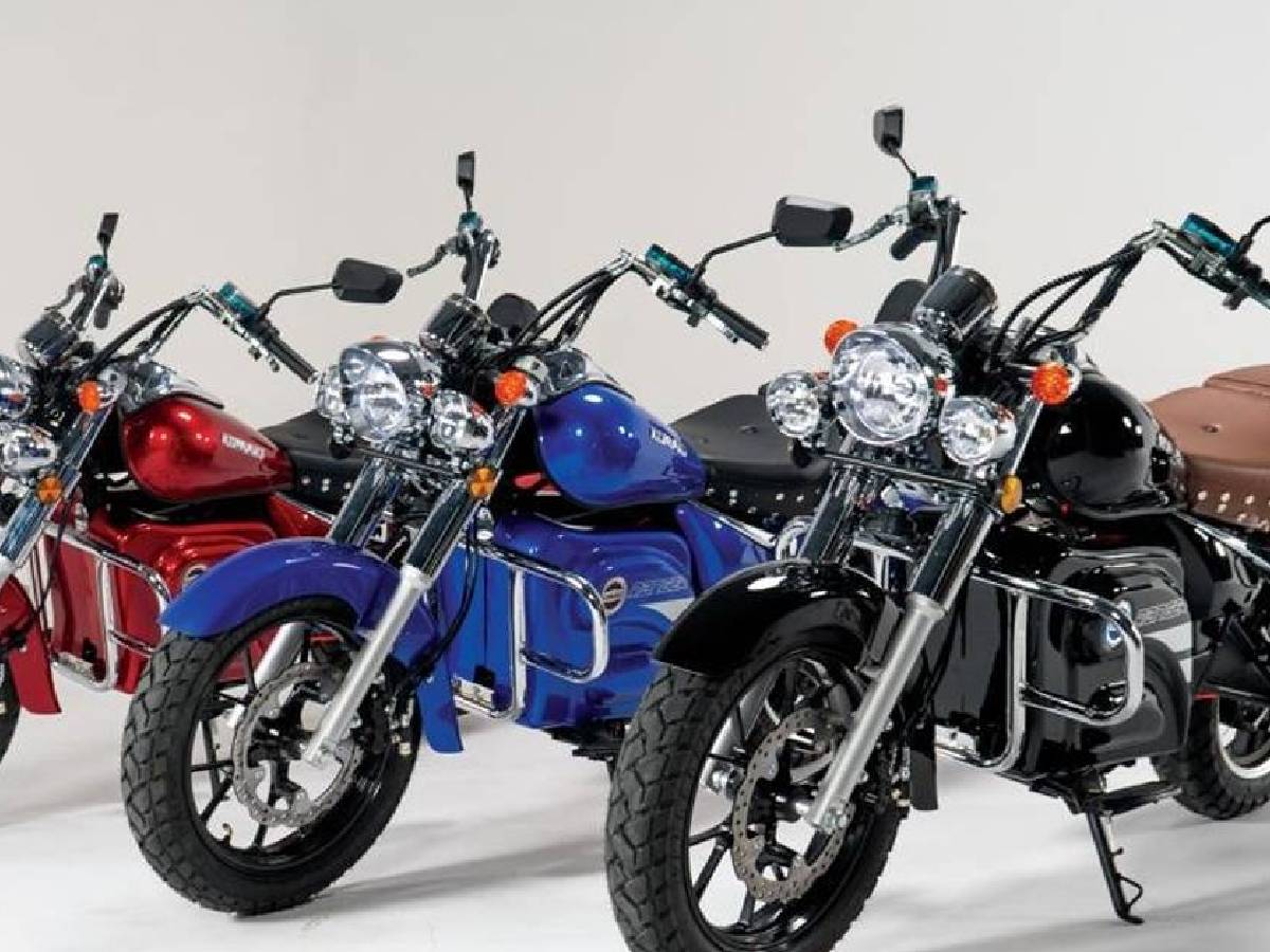 ఇండియాలో తొలి క్రూయిజ్ ఎల‌క్ట్రిక్ బైక్… ఒక‌సారి రీఛార్జ్ చేస్తే…