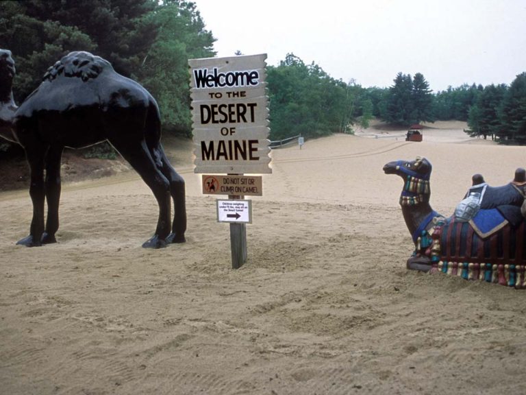 ప్ర‌పంచంలో ఇలాంటి ఎడారిని ఎక్క‌డా చూసుండ‌రు…ఎందుకంటే…