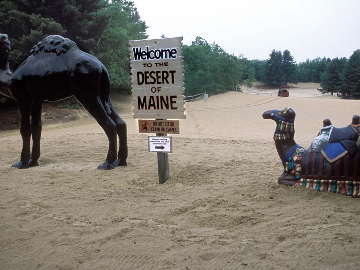 ప్ర‌పంచంలో ఇలాంటి ఎడారిని ఎక్క‌డా చూసుండ‌రు…ఎందుకంటే…