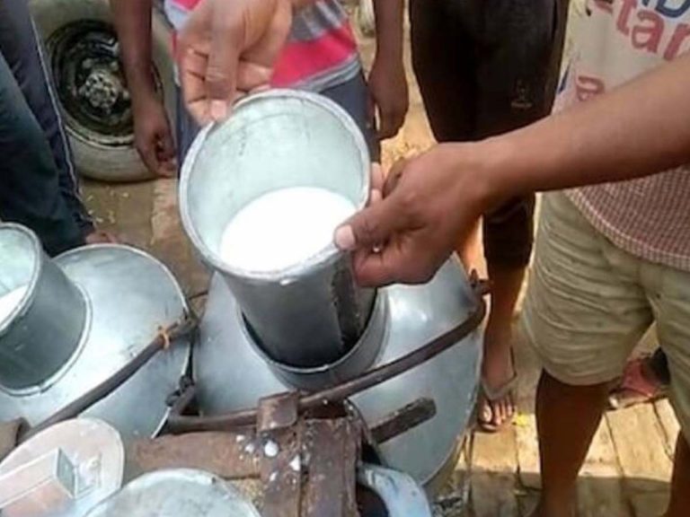 ఆ గ్రామంలో పాలు, పెరుగు ఫ్రీ… ఎందుకంటే…