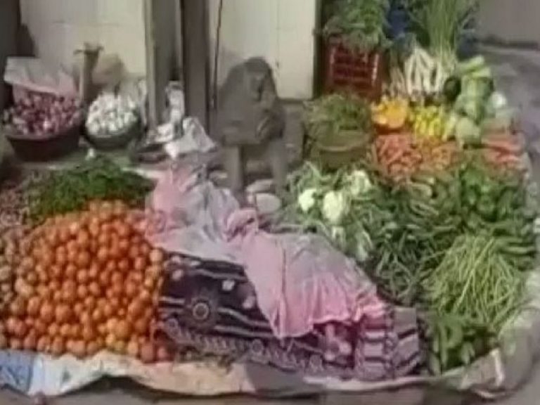 వైర‌ల్‌:  ఇది మామూలు కోతి కాదు… ఏం చేసిందో తెలిస్తే షాక్ అవుతారు…