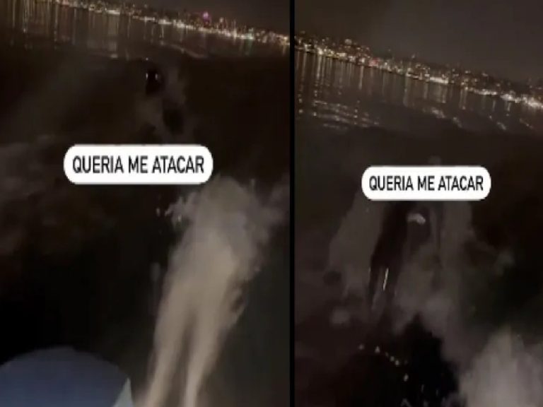 వైర‌ల్‌:  స‌ముద్రంలో బోటును వెంబ‌డించిన వింత‌జీవి… క్ష‌ణం ఆల‌స్య‌మైతే…