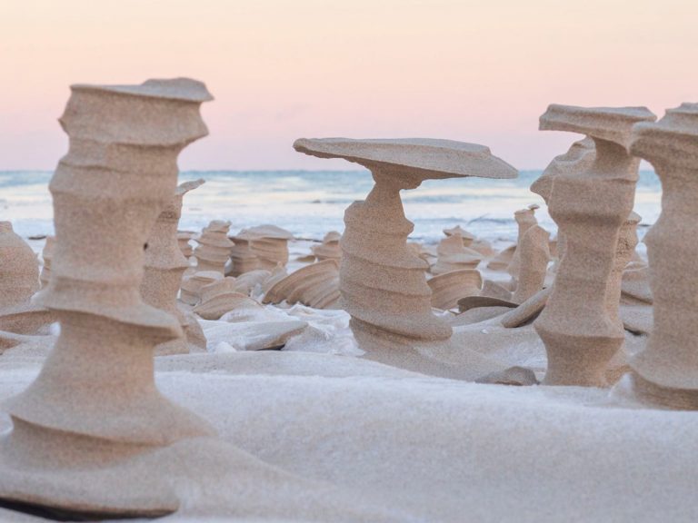 స‌ముద్ర తీరంలో రాత్రికి రాత్రే శిల్పాల్లా మారిపోయిన ఇసుక‌… ఎలాగంటే…