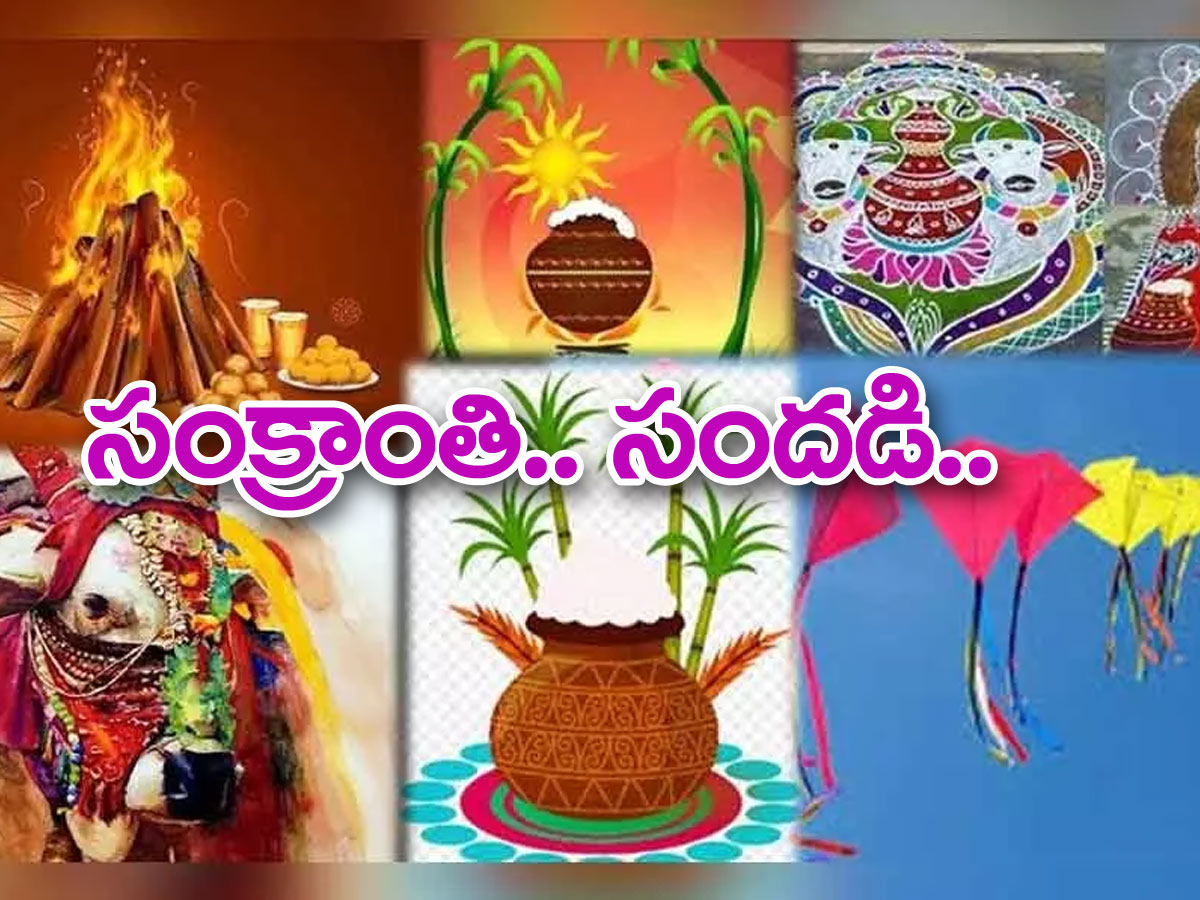 తెలుగు రాష్ట్రాల్లో సంక్రాంతి శోభ..