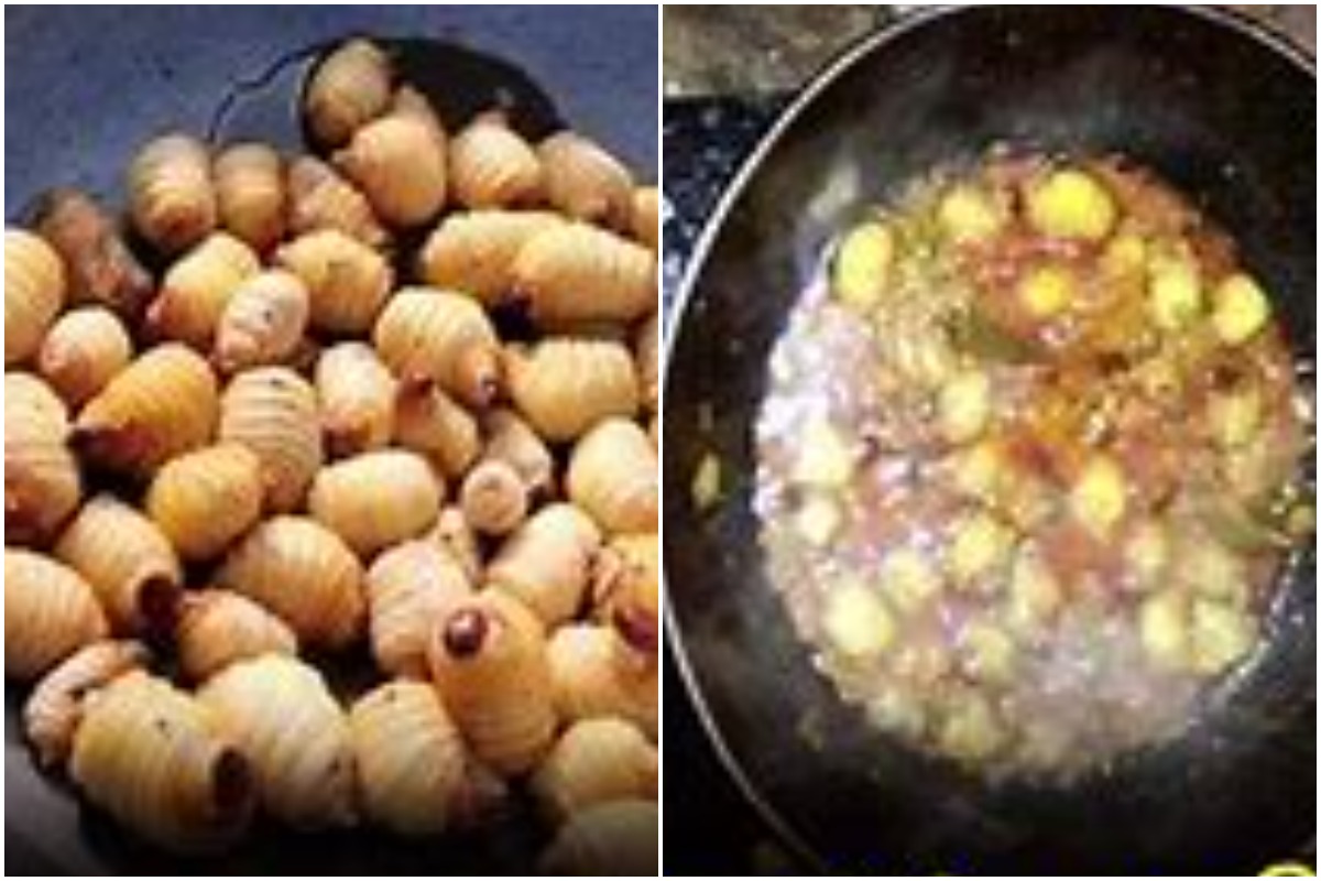 మన్యం రొయ్యలతో భలే ఆదాయం