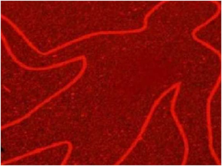 చింతపల్లి నరబలి కేసులో కీలక దర్యాప్తు