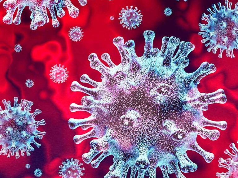 ఏపీలో కొత్తగా 165 కరోనా కేసులు, 2 మరణాలు నమోదు