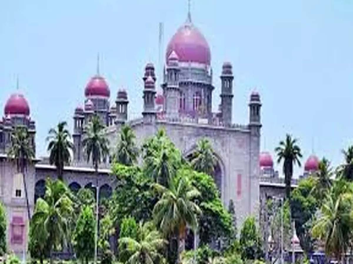 ఈ సమయంలో నుమాయిష్ కావాలా..? హైకోర్టు