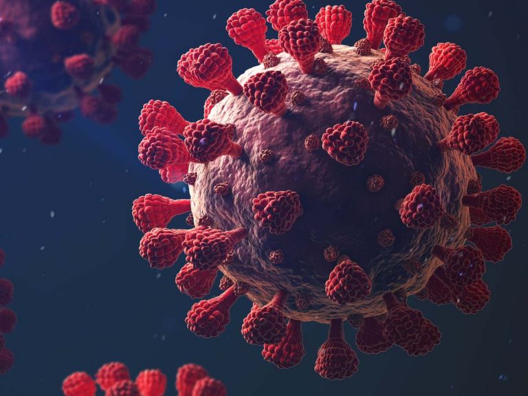 Omicron variant XE: ఒమిక్రాన్‌ ఎక్స్‌ఈ కలకలం.. గుజరాత్‌లోనూ వెలుగు చూసింది..!