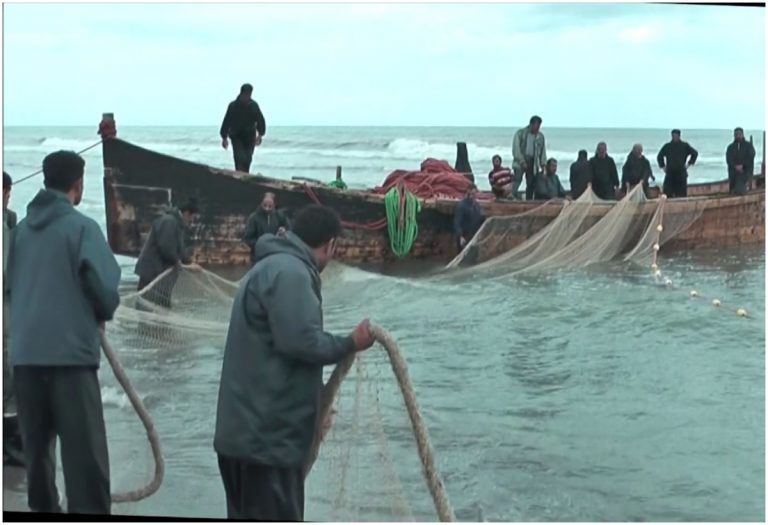 తమిళనాడు మత్స్యకారుల దోపిడీ.. ప్రకాశం మత్స్యకారుల పస్తులు