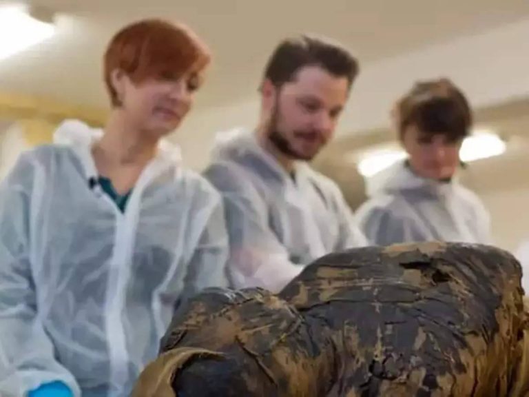 అద్భుతం:  20 వేల సంవ‌త్స‌రాల‌నాటి మ‌మ్మీ క‌డుపులో…