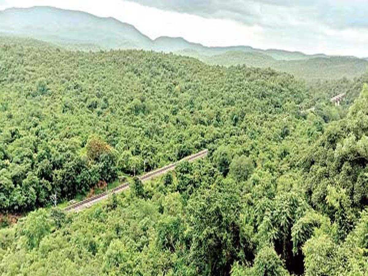 ఉభయ తెలుగు రాష్ట్రాల్లో పెరిగిన అటవీ విస్తీర్ణం