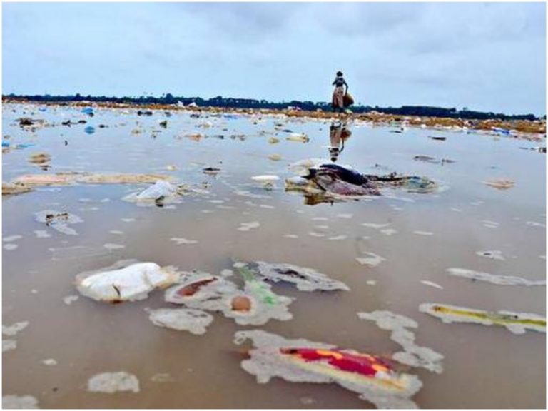 గోదారమ్మను కాటేస్తున్న కాలుష్యం