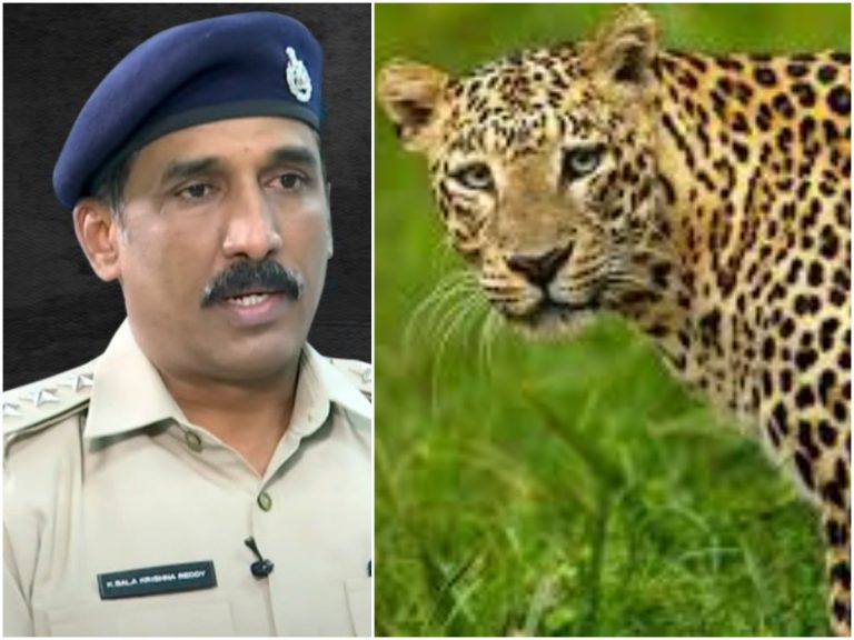 చిరుత దాడి గురించి భ‌యాందోళ‌న‌లు వ‌ద్దు