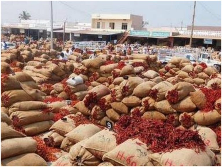 అగమ్యగోచరంగా ఖమ్మం మిర్చి రైతుల పరిస్థితి
