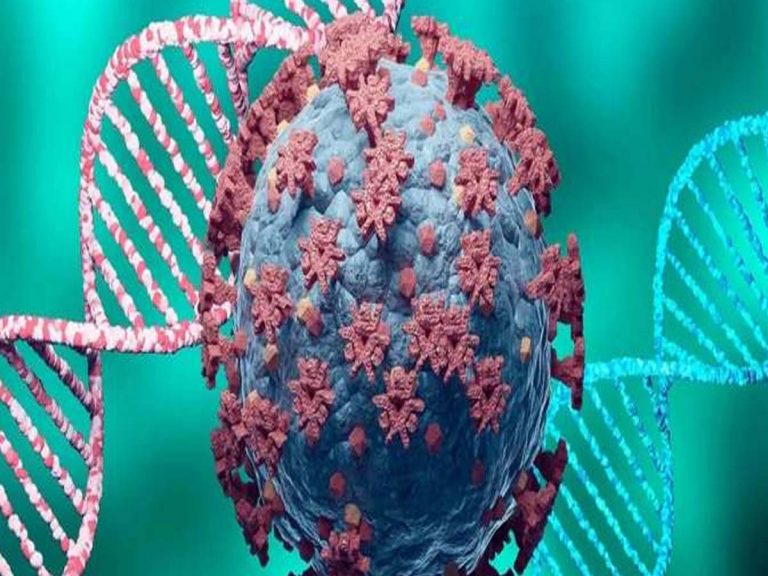 Corona : మళ్లీ విజృంభిస్తున్న కరోనా.. 23 మంది విద్యార్థులకు పాజిటివ్‌..