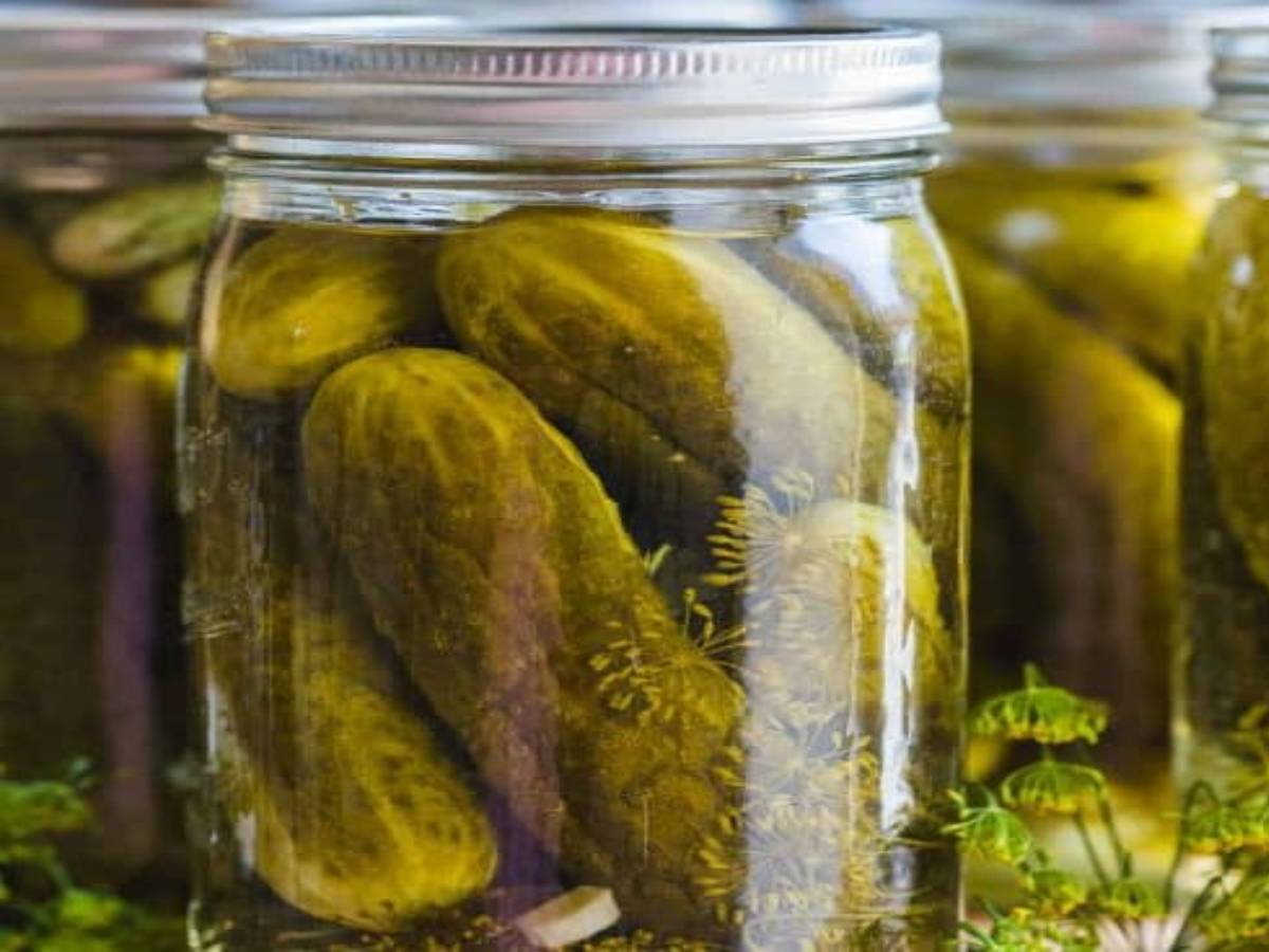 ‘పికిల్ కింగ్ ఆఫ్ ది వరల్డ్’గా భారతదేశం..!