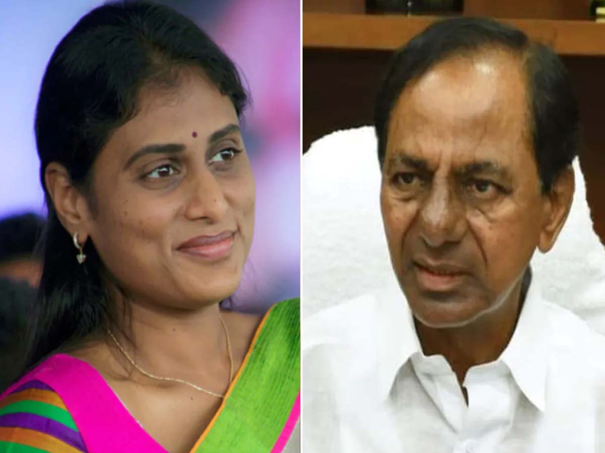 హెల్త్‌ వర్కర్లవి ప్రాణాలు కాదా.. ఫీవర్‌ సర్వేపై షర్మిల ఫైర్‌