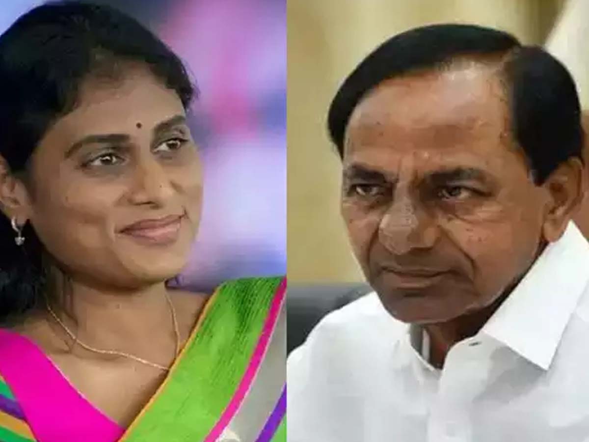 రైతులు మరణిస్తున్న కేసీఆర్‌కు సోయి లేదు: షర్మిల