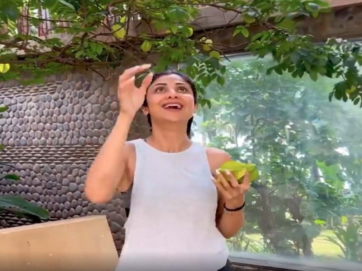 శిల్పాశెట్టి నయా అవతార్!