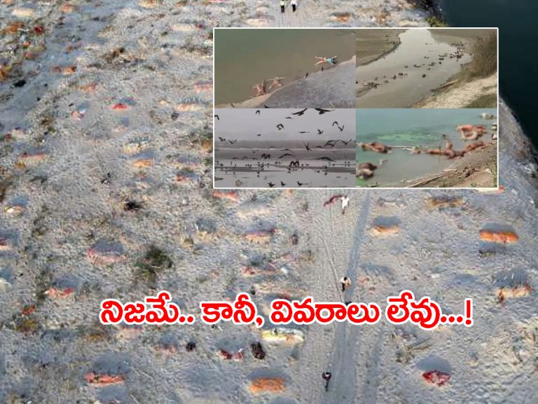 గంగా నదిలో కోవిడ్‌ మృతదేహాలు.. కేంద్రం సమాధానం ఇదే..