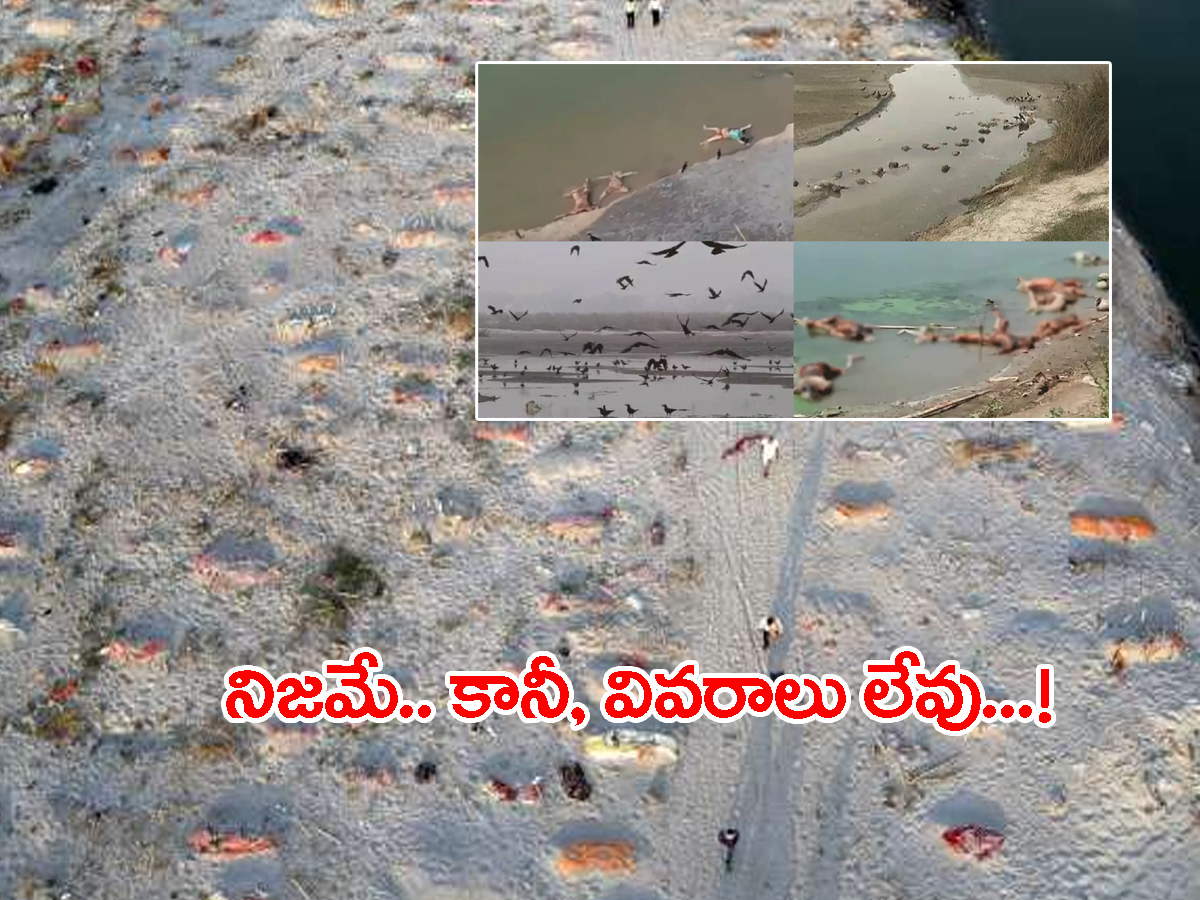 గంగా నదిలో కోవిడ్‌ మృతదేహాలు.. కేంద్రం సమాధానం ఇదే..