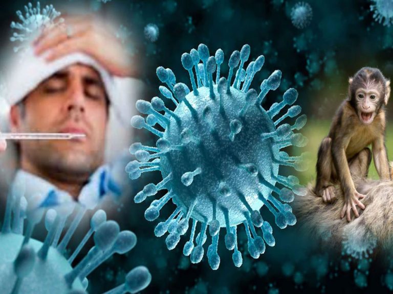 Monkey Fever : కేరళలో మంకీ ఫీవర్ కలకలం..