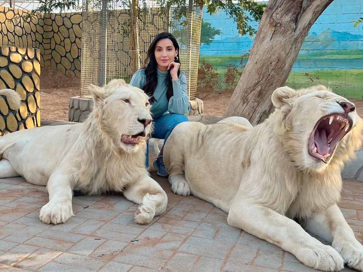 నోరా ఫతేహీ ఇన్ స్టాలోకి మళ్ళీ వచ్చేసింది!