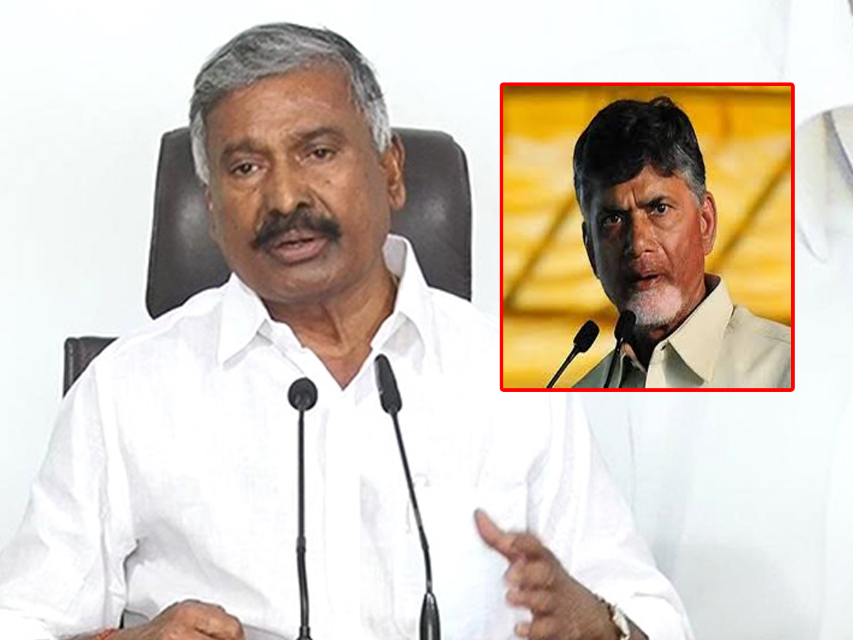 Peddireddy: అది బాబు కుట్రే..! బీజేపీలోని టీడీపీ నేతల ద్వారా చేయించారు..!