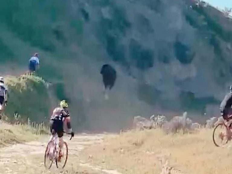 Viral:  సైకిల్ రేసింగ్‌పై బుల్ హిట్‌… దూరంగా తీసుకెళ్లినా…