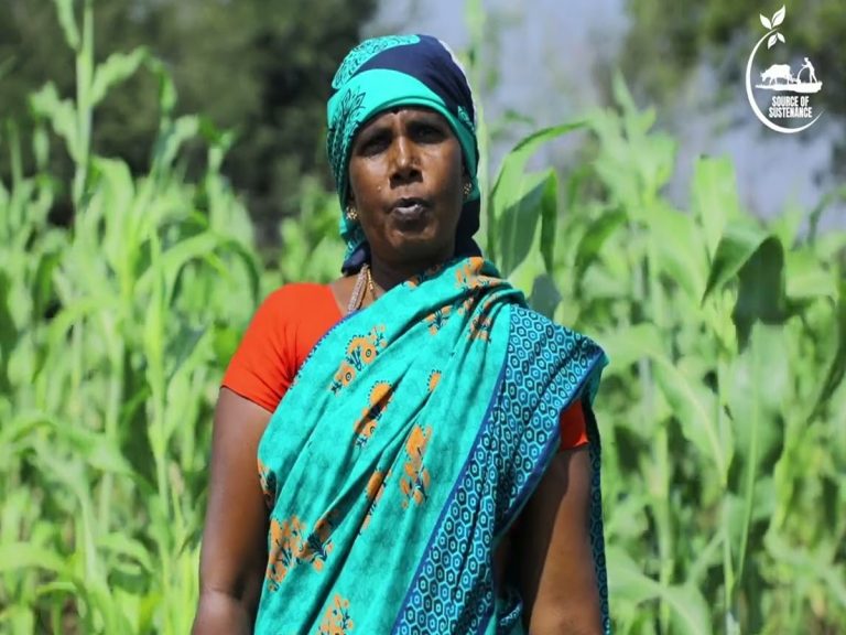Women Farmers: మనల్ని పోషించే చేతులు