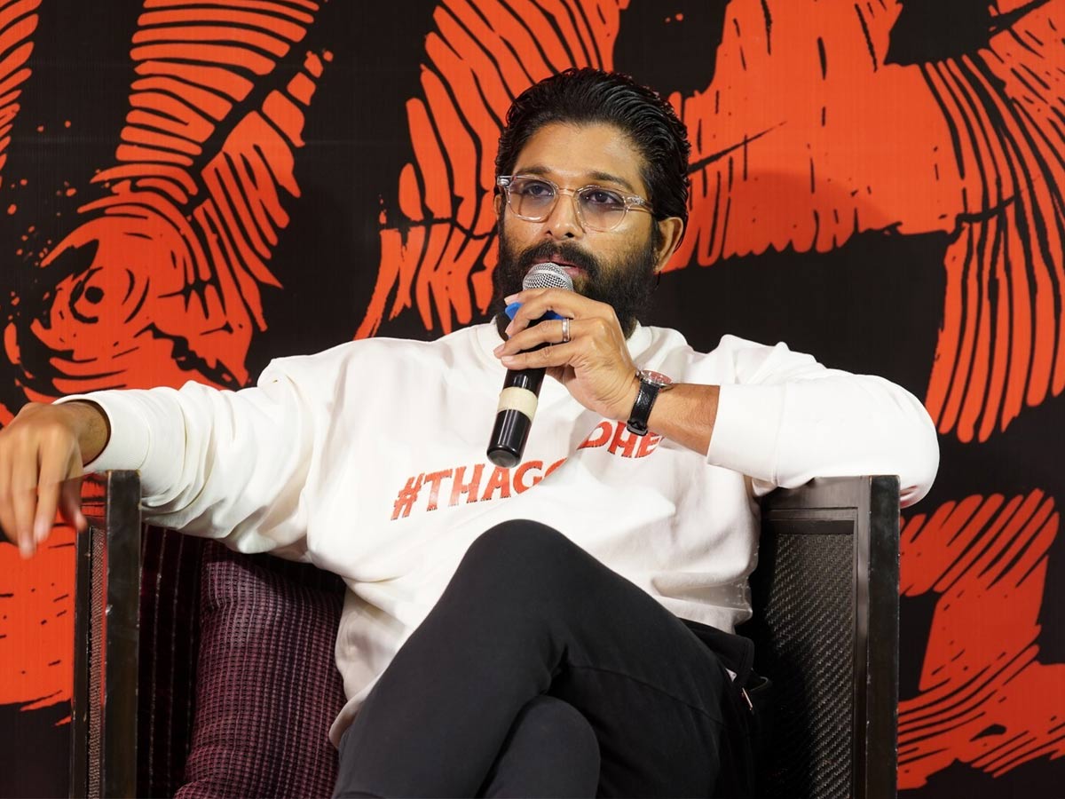 Allu Arjun: అల్లు అర్జున్ జాతకం.. ఆ అవాంతరాలు తప్పవట.. స్టార్ డమ్ కూడా