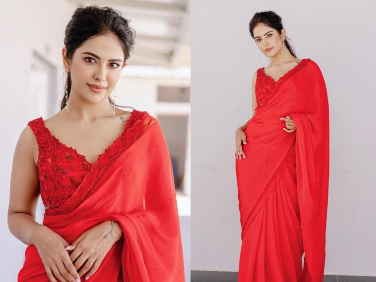 Avika Gor: చక్కనమ్మ చిక్కినా అందమే..