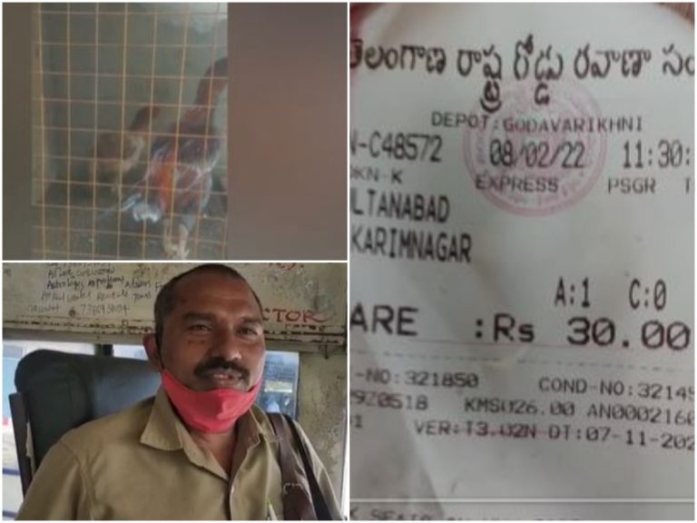 కోడి పుంజుకు టిక్కెట్ కొట్టిన కండక్టర్.. ఎక్కడంటే?