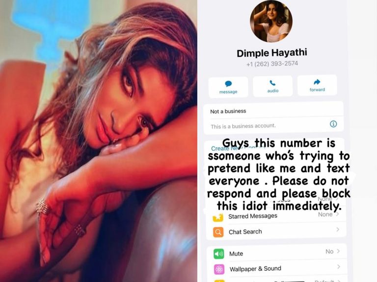 Dimple Hayathi: ‘సామాన్యుడు’, ‘ఖిలాడీ’ ఇద్దరూ కాపాడలేకపోయారు!