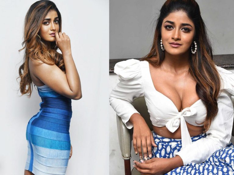 Dimple Hayathi: ‘ఖిలాడీ’ బ్యూటీ ఎద అందాలకు కుర్రాళ్ల ఫ్యూజులు పోతున్నాయిగా..