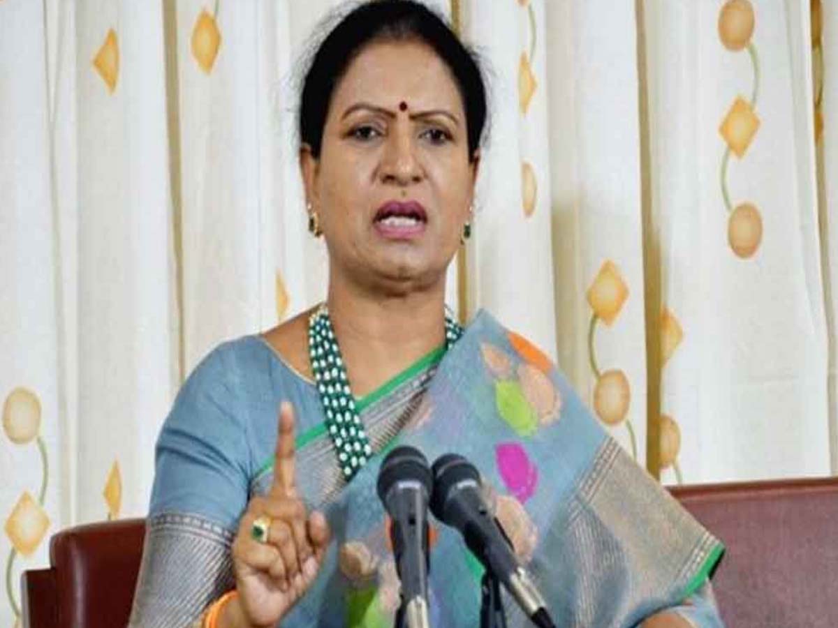 భవిష్యత్ భారత నిర్మాణానికి పునాది ఈ బడ్జెట్: డీకే అరుణ