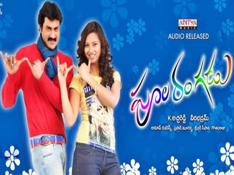 దశాబ్దం చూసిన సునీల్ ‘పూలరంగడు’