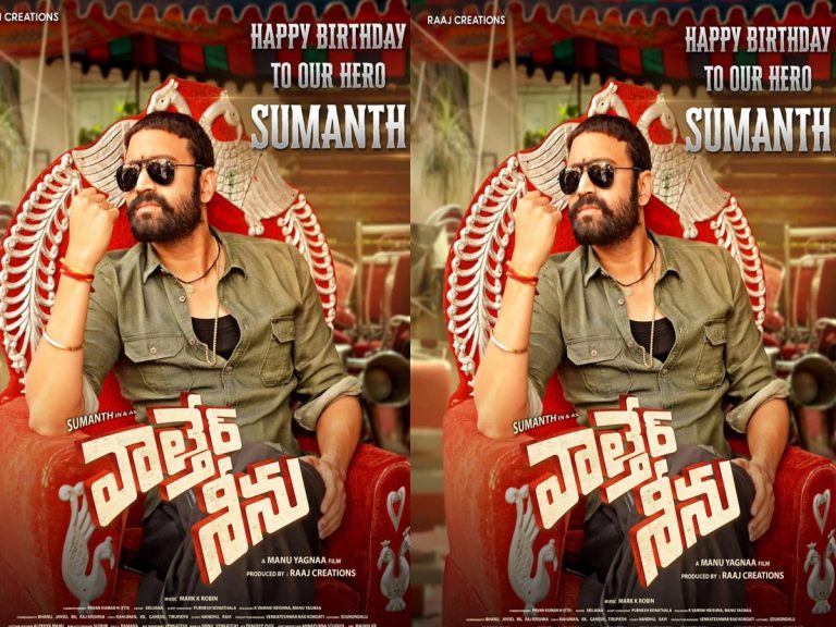 Waltair Seenu: ‘వాల్తేరు శీను’ లుక్‌ అదిరింది