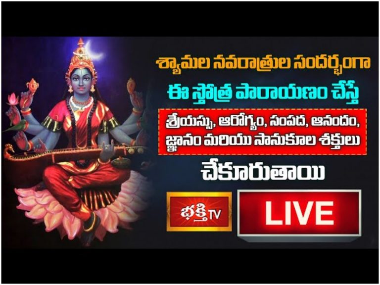 శ్యామల నవరాత్రులు.. ఈ పారాయణం చేస్తే అన్నీ శుభాలే!